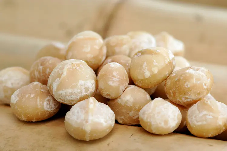 Macadamia Nuts